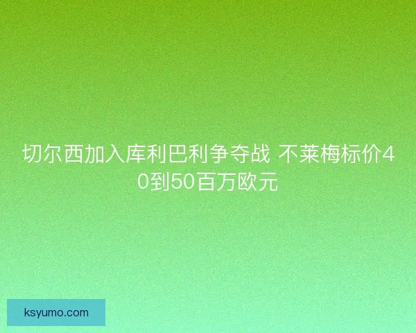 切尔西加入库利巴利争夺战 不莱梅标价40到50百万欧元 切尔西加入库利巴利争夺战 不莱梅标价40到50百万欧元
